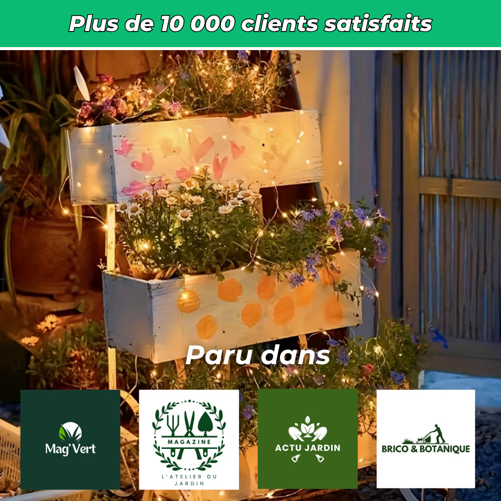Guirlande solaire LED extérieure – Ambiance chaleureuse et économique
