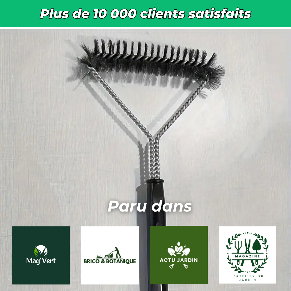Brosse de nettoyage barbecue en acier inoxydable