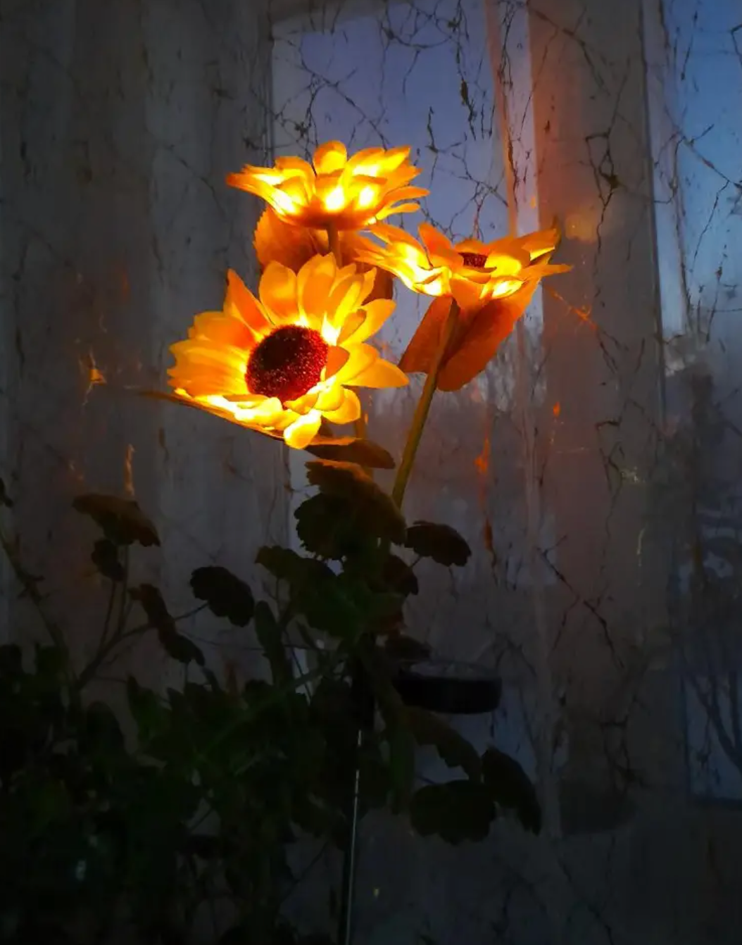 Customer garden decor review image