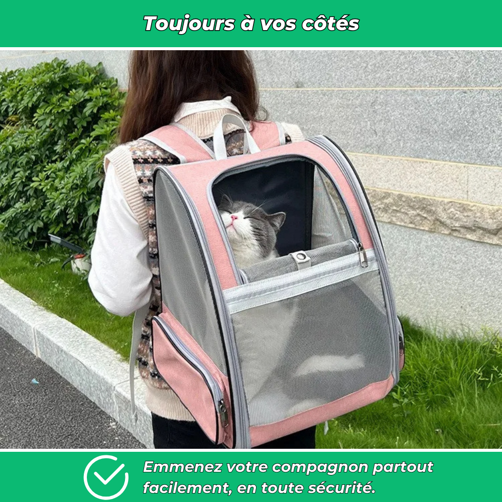 Sac de transport extérieur pour chien et chat – Voyage sécurisé et confortable
