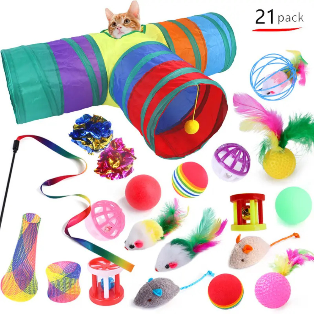 Lot de jouets interactifs pour chat