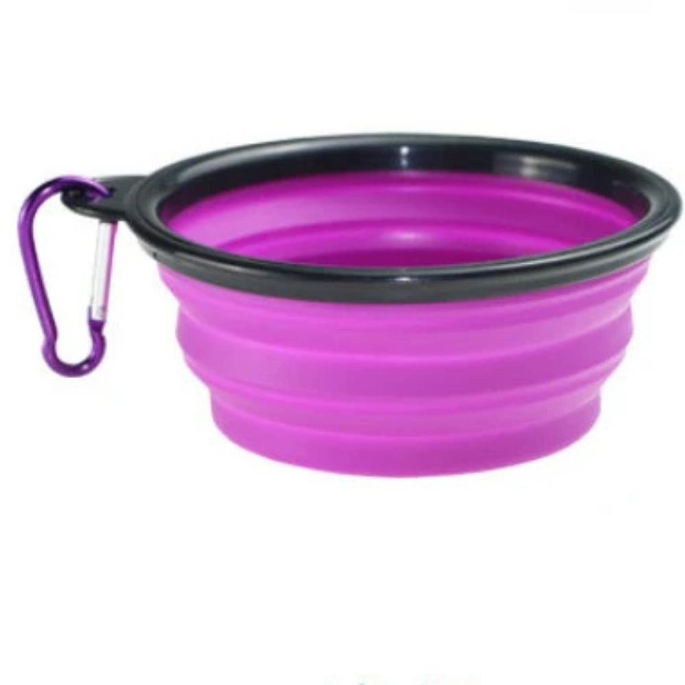 Gamelle pliable pour chiens et chats