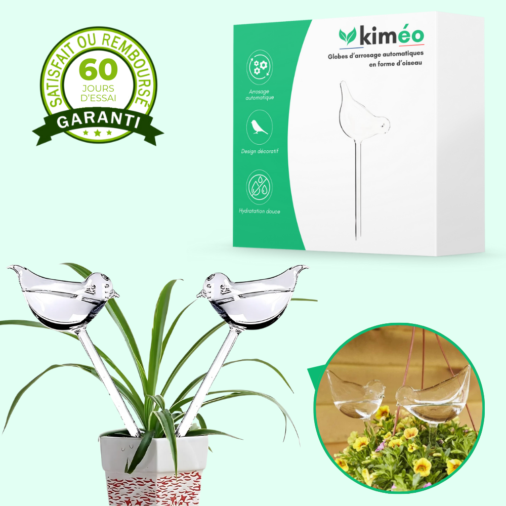 Arrosage automatiques en forme d’oiseau – Hydratation continue pour vos plantes