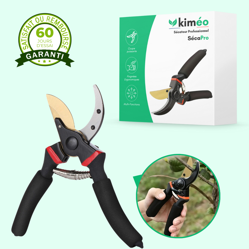 Sécateur tranchant en titane - Coupe précise et durable